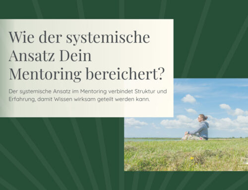 Wie der systemische Ansatz Dein Mentoring bereichert?