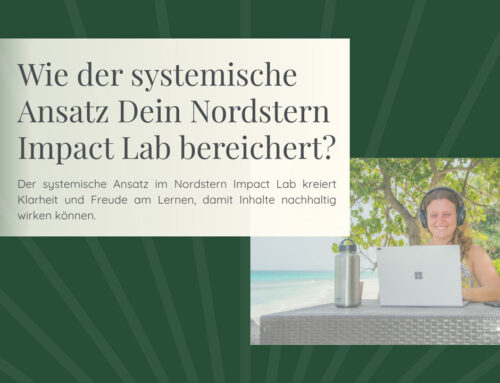 Wie der systemische Ansatz Dein Nordstern Impact Lab bereichert?